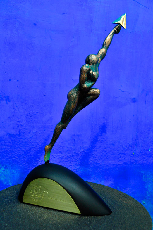 Video Project Postformat